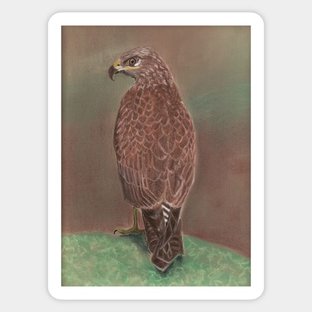 Buzzard Sticker by MagsWilliamson